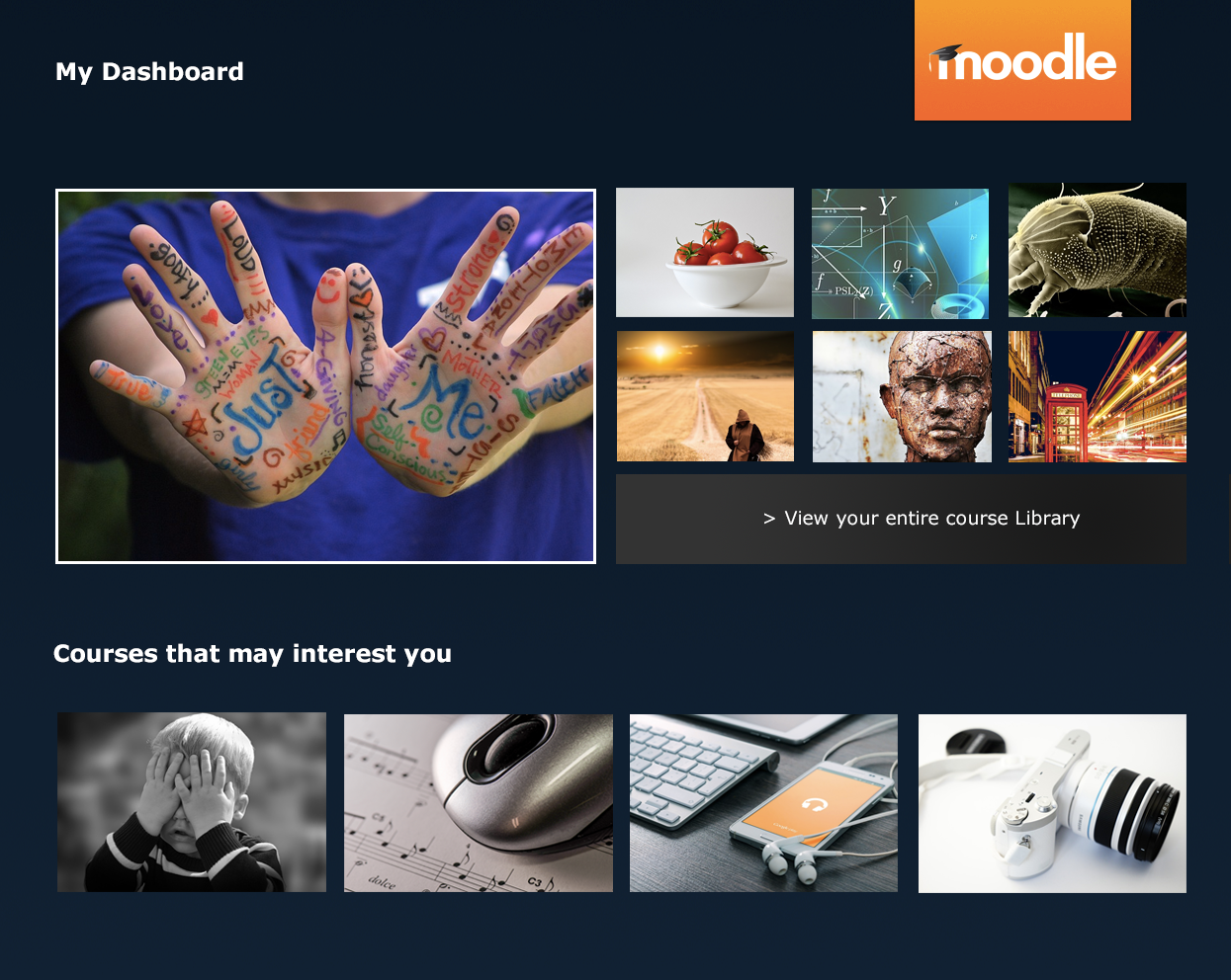 Algunos de los mejores Temas gráficos para Moodle (gratuitos)